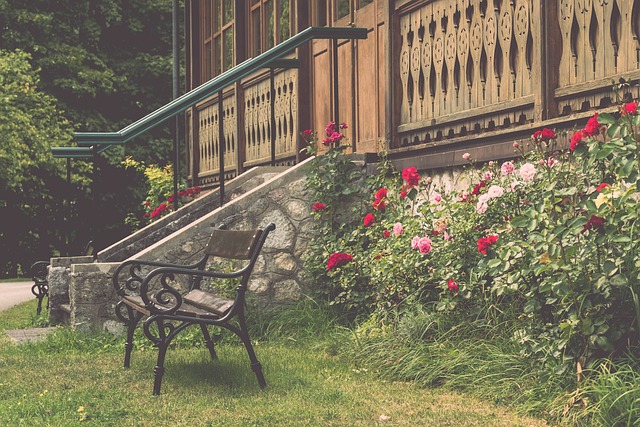 年世界盃申 年世界盃申