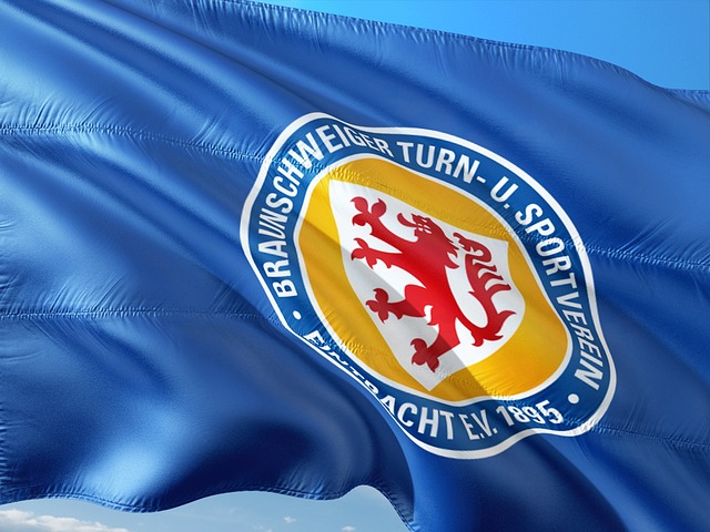 俱乐部或球 俱乐部或球