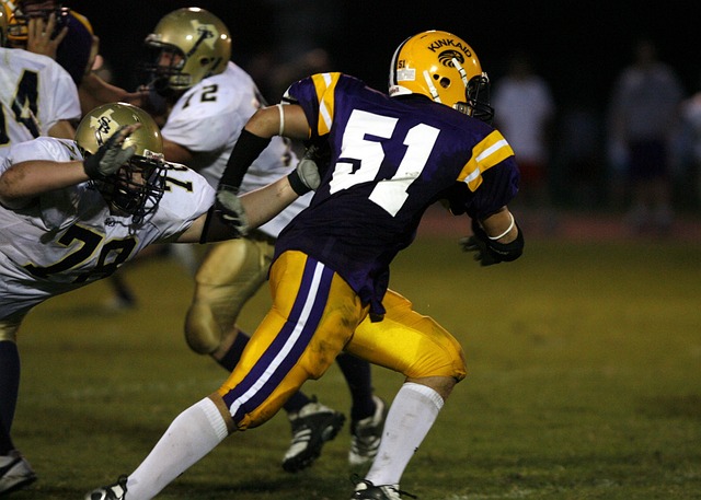 他们新的战 他们新的战