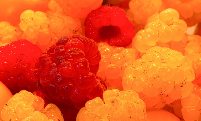 精神的真諦 精神的真諦