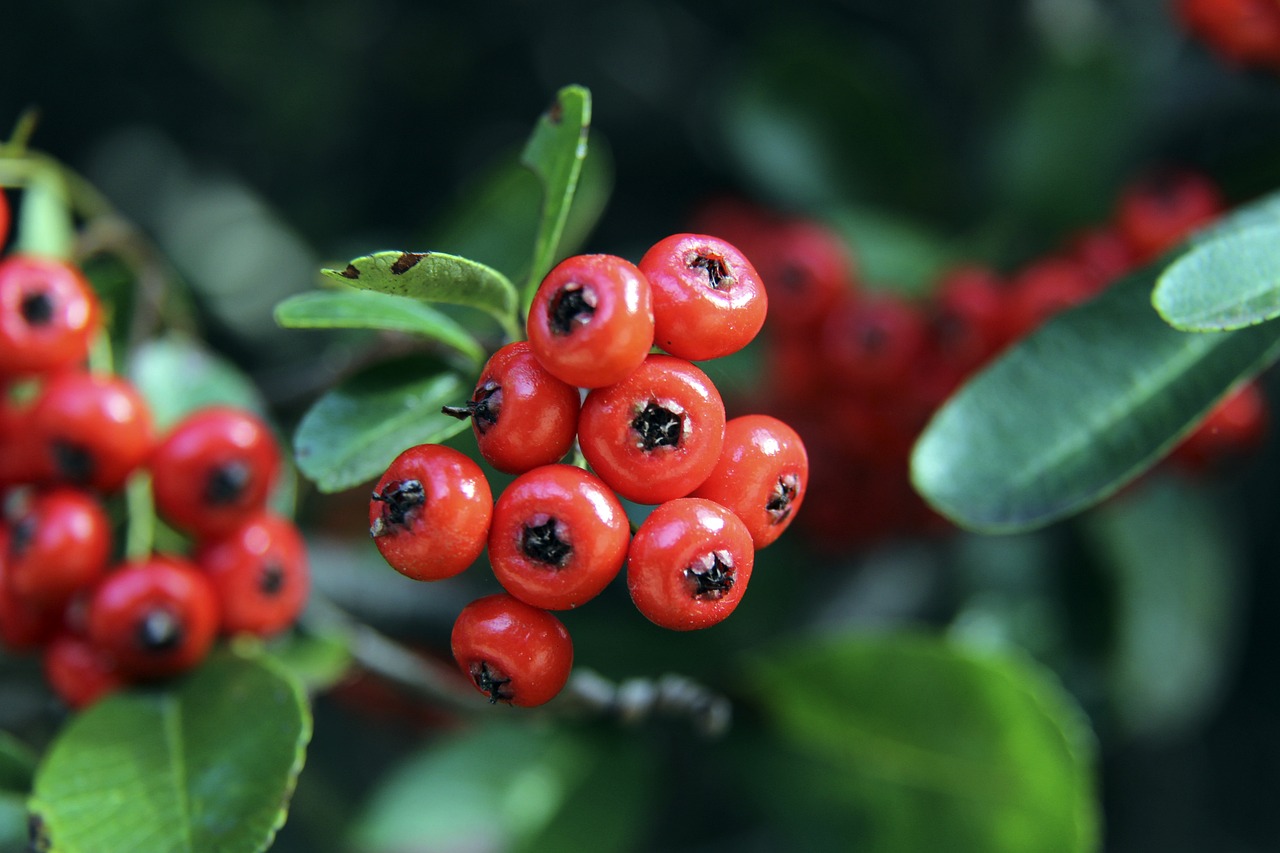 比分追至平 比分追至平