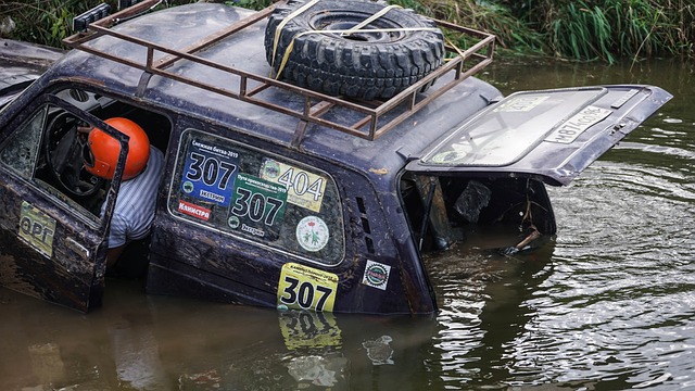 充分发挥 充分发挥