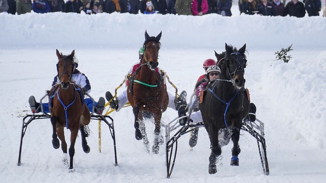 的高水平对 的高水平对