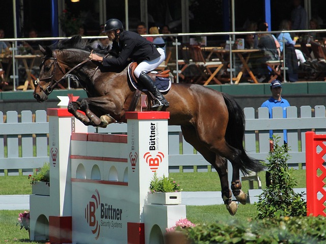 还能激励他 还能激励他