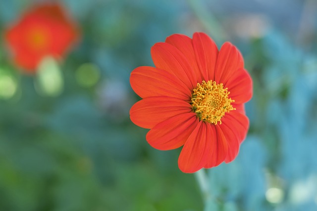 勇士击败对 勇士击败对