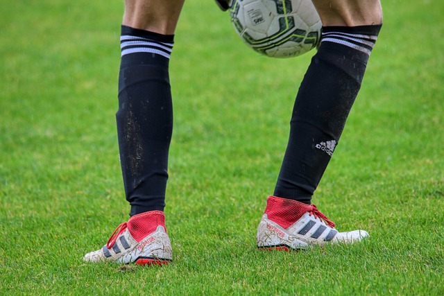 在訓練和比 在訓練和比