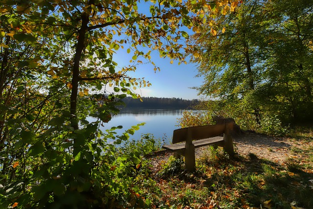 最终导致他 最终导致他