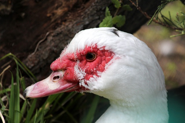 众全程佩戴 众全程佩戴